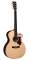 Martin GPCPA1 Plus Performing Artist Acoustic-Electric Guitar (with Case)