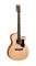 Martin GPCPA4 Performance Artist Series Acoustic-Electric Guitar Reviews