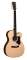 Martin OMCPA1 Plus Performing Artist Acoustic-Electric Guitar (with Case)