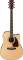 Ibanez PF25ECE PF Series Acoustic-Electric Guitar (with Case)
