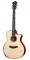 Taylor PS14CE Presentation Series Acoustic-Electric Guitar (with Case)
