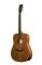 Breedlove Passport D/MME Acoustic-Electric Guitar with Gig Bag