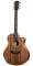 Taylor PS16CE Fall Limited Edition Acoustic-Electric Guitar