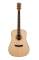 Bedell BDD-18-M Discovery Acoustic Guitar with Gig Bag