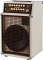 SWR California Blonde II Acoustic Guitar Amplifier (160 Watts, 12)