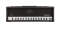 Peavey 6534 Plus Guitar Amplifier Head (120 Watts)