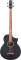 Ibanez EWB10ASE Exotic Wood Acoustic-Electric Bass