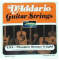 D'Addario EJ15 Phosphor Bronze Acoustic Guitar Strings (Extra Light)