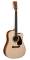 Martin DCPA1 Madagascar Rosewood Acoustic Guitar (with Case)