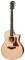 Taylor 316CE Acoustic-Electric Guitar (with Case)