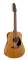 Seagull Coastline S12 Cedar Acoustic Guitar, 12-String