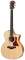 Taylor 314CE LTD 2012 Spring Limited Edition Acoustic-Electric Guitar with Case