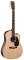 Martin DCPA4 Rosewood Performing Artist Acoustic-Electric Guitar with Case Reviews