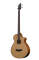 Breedlove Solo BJ350/CME4 Acoustic Bass Guitar with Case