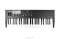 Waldorf Blofeld 49-Key Keyboard Synthesizer