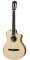 Taylor GCCE 2012 Fall Limited Edition Classical Acoustic-Electric Guitar