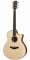 Taylor GSCE 2012 Fall Limited Edition Acoustic-Electric Guitar