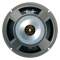 Celestion G10 Vintage Guitar Speaker (60 Watts, 10)