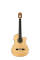 Cordoba Fusion Orchestra CE SP/IN Classical Acoustic-Electric Guitar (with Gig Bag)