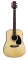 Jasmine by Takamine S33 Dreadnought Acoustic Guitar (with Case)