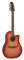 Ovation CC245 Celebrity 12-String Acoustic-Electric Guitar