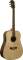 Washburn WD26S Acoustic Guitar