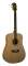 Washburn WD30S Dreadnought Acoustic Guitar