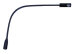 Main