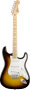 Fender Standard Stratocaster Electric Guitar, with Maple Neck