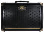 Peavey Ecoustic 208 Acoustic Guitar Amplifier (30 Watts, 2x8")