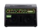 Trace Elliot TA-100 Acoustic Guitar Amplifier