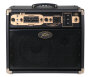 Peavey E110 Ecoustic Acoustic Guitar Amplifier