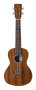 Cordoba 20CM Concert Ukulele