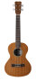 Cordoba 20TM Tenor Ukulele
