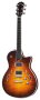 Taylor T3 Semi-Hollowbody Electric Guitar