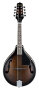 Dark Violin Sunburst