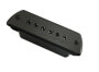 Fishman Blackstack Passive Sound-Hole Pickup