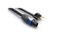 Hosa SKTBN 14-Gauge Speakon to Banana Cable