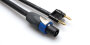 Hosa SKTBN 12-Gauge Speakon to Banana Cable