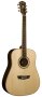 Washburn WD20S Dreadnought Acoustic Guitar