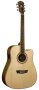 Washburn WD20SCE Dreadnought Acoustic-Electric Guitar