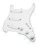 Lace Sensor Gold Loaded Pickguard