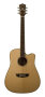 Washburn WD15SCE Dreadnought Acoustic-Electric Guitar