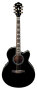 Ibanez AEL30SE Acoustic-Electric Guitar