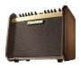 Fishman Loudbox Mini Acoustic Guitar Amplifier (60 Watts, 1x6.5")