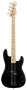Fender Roger Waters Precision Electric Bass (with Gig Bag)