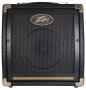 Peavey Ecoustic E20 Acoustic Guitar Amplifier (20 Watts, 1x8")