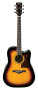 Ibanez AW300ECE Artwood Acoustic-Electric Guitar