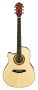 Ibanez AEF18LE Left-Handed Acoustic-Electric Guitar