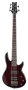 Schecter Raiden Special-5 Electric Bass, 5-String
